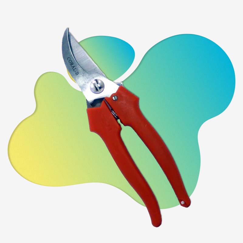 باغبانی و کشاورزی